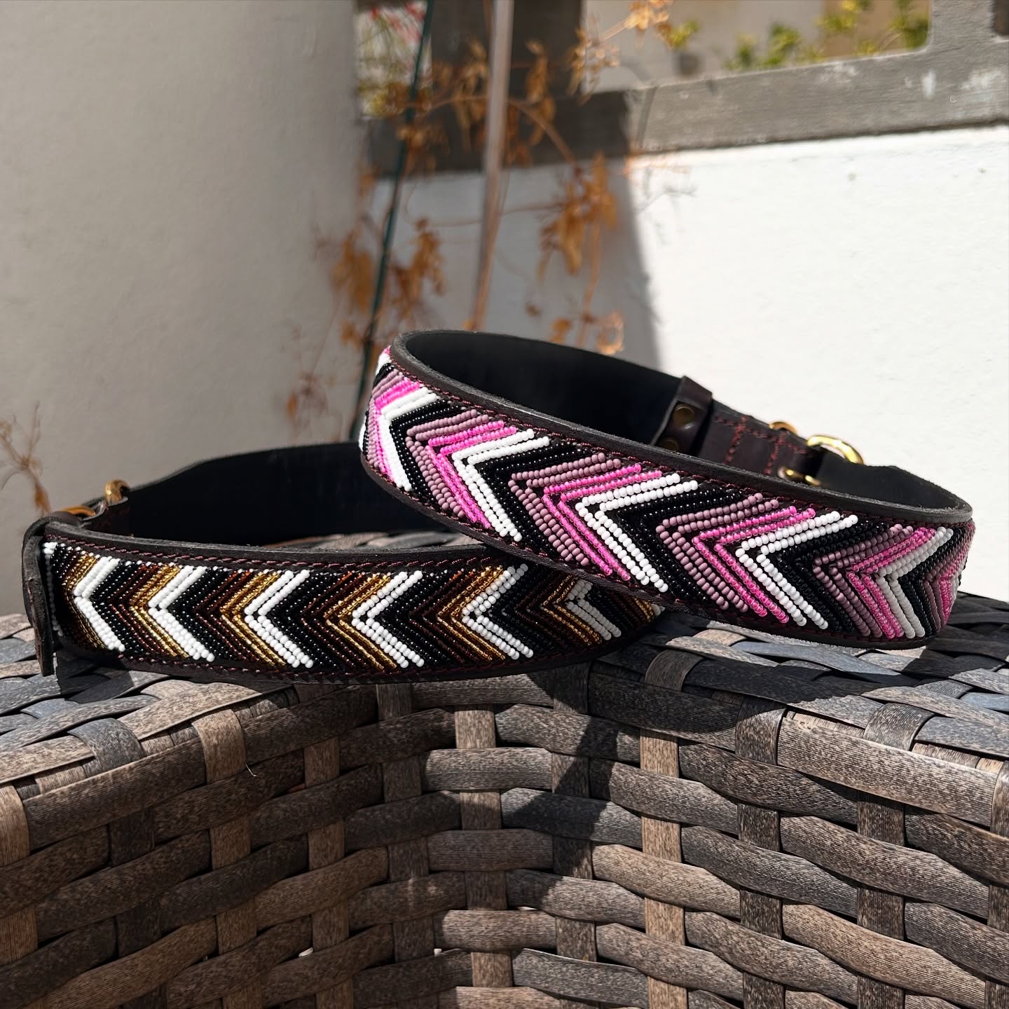 The colours of happiness 💌
.
.
#naki #portuguesebrand #compraportugues #marcaportuguesa #caesportugueses #caes #caesfelizes #caesfofos #perros #pet #petlover #dogs #dogslove #leather #leathercollars #dogcollars #maasai #maasaibeadwork #kenya
