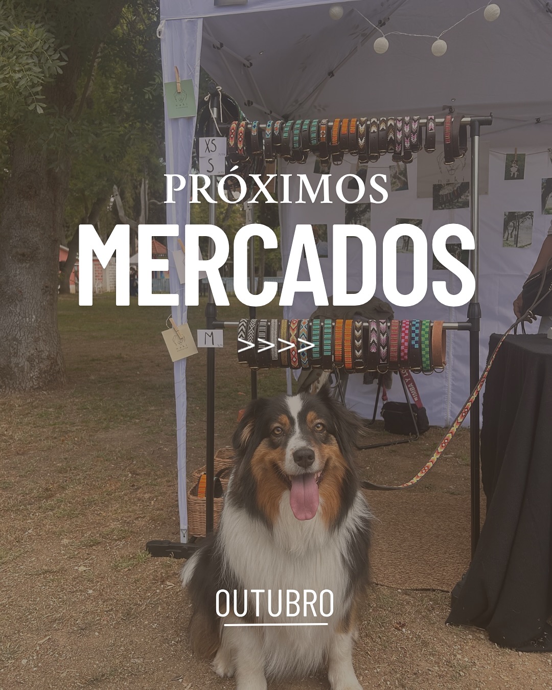 Este mês vamos estar em dois mercados, prontos para vos receber! ✨Este sábado vamos estar na Festa Animal e no próximo sábado no mercado do 8 Marvila! 🌈Festa Animal
📍Jardim Municipal de Oeiras
📅 11 de outubro (sábado)
⏰ 10h - 19h
🐶 pet friendlyAmazonas Market
📍8Marvila
📅 18 de outubro (sábado)
⏰ 12h - 21h
🐶 pet friendly
