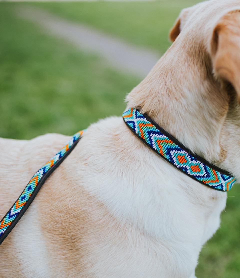 Habari ,, o padr&atilde;o que n&atilde;o desilude 🫠🤭❣️#naki #portuguesebrand #compraportugues #marcaportuguesa #caesportugueses #caes #caesfelizes #caesfofos #perros #pet #petlover #dogs #dogslove #leather #leathercollars #dogcollars #maasai #maasaibeadwork #kenya