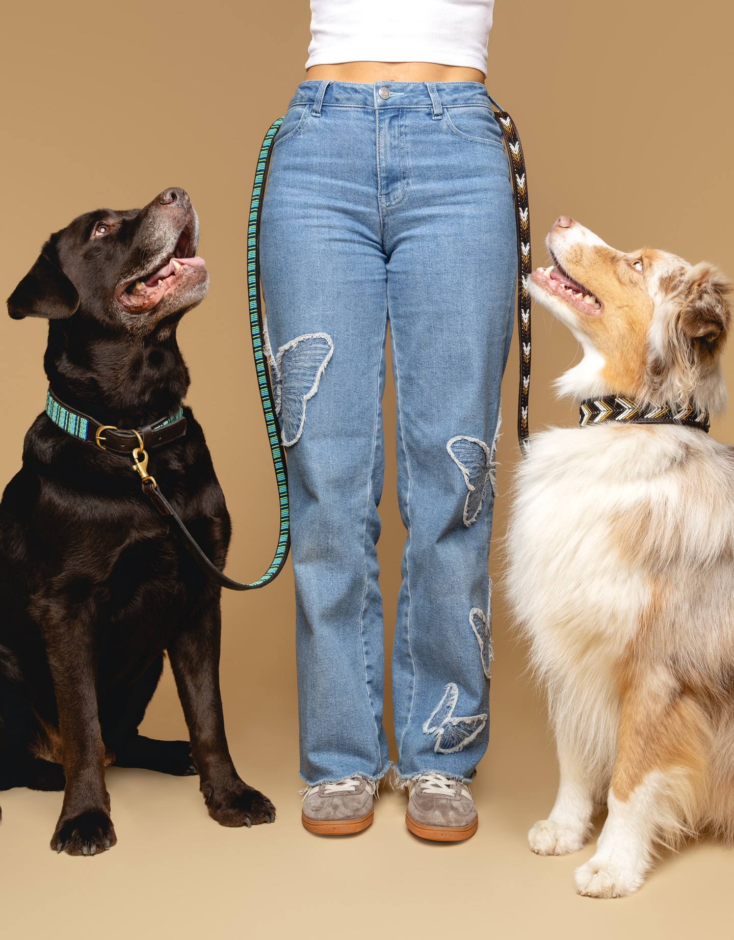 Temos dois amores, que em nada s&atilde;o iguais! E n&atilde;o temos a certeza de qual gostamos mais 🤭🤎 (dos dois muito claro!!!)by @springerstudio#naki #portuguesebrand #marcaportuguesa #caesportugueses #leathercollars