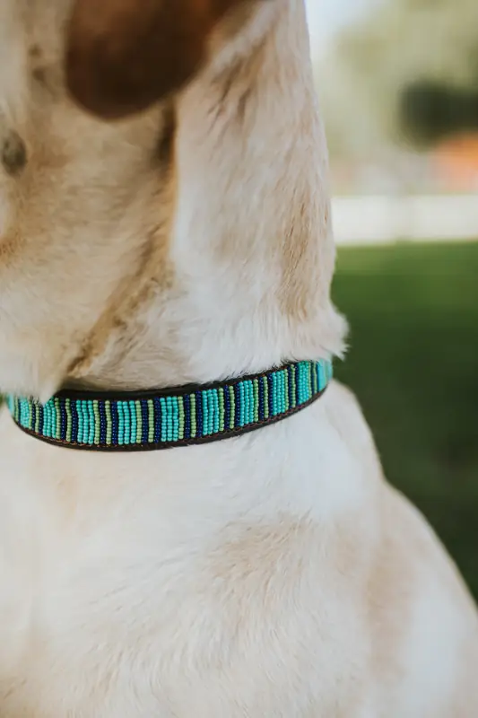 Coleira Rafiki da loja Naki Handmade