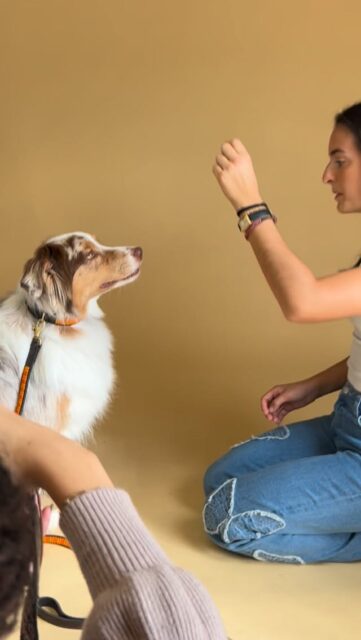 Conjunto Safari, um dos best sellers, disponível ,, com o nosso CEO a representar da melhor maneira